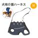  собака для уход Harness Harness уход для маленький размер собака собака уход для Harness собака собака пассажирский Harness .. нет sinia средний собака . собака уход собака для Harness.