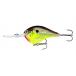 Rapala(ラパラ) クランクベイト DT ダイブストゥ 5cm 12g ホットマスタード HM DT6-HM ルアー
