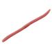 JACKALL( Jackal )flik shake 2.8la Tubifex 