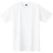 (daruk)DALUC DM030 5.0oz STANDARD T-SHIRT DM030 001 белый WS