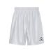  Descente bare- брюки SV6SHP02M_WH00_O