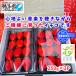  strawberry Shiga prefecture 1 box 2P entering [ free shipping ] this term sale end therefore 12 month .. shipping minute. reservation ..... - 
