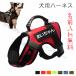 ���̃n�[�l�X ���p �n�[�l�X ���� ������� �������� ���O���� ���� ���^�� ���^�� ��^�� ����^�� �����l�[������ ������ ���킢�� ���D���x�� �n�[�l�X�x���g