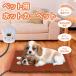  new model for pets hot carpet timer with function heater mat dog cat middle small size warm protection against cold pet heater cold . measures .. prevention gift present 