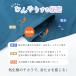 �⊴�|���`�� -8�x �R�ہE�h�L���H �����΍� ���Ă��΍� UV�J�b�g�ő�93�� �ې􂢉� �Ђ��� �唻�|���`�� �t�[�h�t�� ������ �������� 3M�� �^�I���|���`�� �֘A�摜3