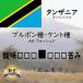  язык The nia200g AAwoshudo Kilimanjaro аккуратный средний ..