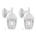 YoonLIT SMARTLIFE Dusk to Dawn Outdoor Wall Lantern, Wall Sconce as Porch L¹͢