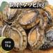 ����� 1kg 12���� �A���r � ��������� �L �Ⓚ �ڈ� ���h�g �X�e�[�L �k�t�� �֘A�摜1