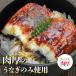 ���Ȃ� ���Ă� 1.6kg 20�H �ʕ ���Ș� �V �E�i�M �Ђ܂Ԃ� �O���� �H�i �C�N �֘A�摜2