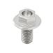  Gita рейсинг (ZETA RACING) titanium тормоз диск болт фланец φ6 M6 12.5mm ZT10-0521 dirt freak D
