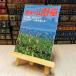 8-1 хобби. луговые и горные травы 1988 5. документ остров * цветок. гид дикоросы . приятный 