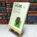 8-1 восток Азия. старый плата культура 1975 первый лето специальный выпуск 0 восток Азия из видел . лошадь . страна 