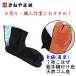 ���˂⑫�� ���Ղ葫�� �E�l���� ���G�n������ �ȗ��� 7�����͂� ��D���t�� 22�|30cm
