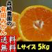  Arita мандарин L размер 5kg лес мыс сельское хозяйство .... мандарин есть . мандарин Wakayama подарок подарок по случаю конца года .. для для бытового использования прямая поставка от производителя 