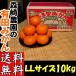  Arita мандарин 2L размер ( большой шар ) 10kg лес мыс сельское хозяйство .... мандарин есть . мандарин Wakayama подарок подарок по случаю конца года .. для для бытового использования прямая поставка от производителя 