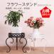 �A�ؔ� �t�����[�X�^���h ��25cm �Q�Z�b�g  �v�����^�[�u�� �ϗt�A�� �� ���u�� �K�[�f�� ���� �����A��