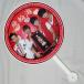 fe il n высокий (. колесо море ) концерт для веер "uchiwa" очень большой ( Корея производства )2