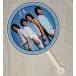 F4 концерт для веер "uchiwa" очень большой ( Корея производства )1