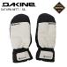 DAKINE Dakine BE237732 SATURN GORE-TEX MITT SIL сноуборд рукавица перчатка Gore-Tex 
