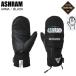 ASHRAMashu Ram ASRM25W05 ARMAarumaBLACK сноуборд перчатка Gore-Tex ashu Ram перчатка рукавица сноуборд 