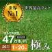 artificial lawn lawn grass raw artificial lawn artificial lawn raw the lowest price . challenge! green soccer garden DIY super high density 47 ten thousand book@ weather resistant 10 year lawn grass height 20mm fixation pin attached 1×20m roll 