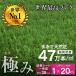  artificial lawn lawn grass raw lawn grass artificial lawn raw garden the lowest price . challenge! dog Ran soccer super high density 47 ten thousand book@ weed proofing seat one body weather resistant 10 year lawn grass height 35mm fixation pin attaching 1×20m roll 