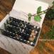 ���������y����������z �ސE����̕i ���� ���b�Z�[�W�V�[���M�t�g��KIHEICAFE�h���b�v�R�[�q�[�P�����N�b�L�[�Q��/�W��&amp;�t���X�g��񂰑ܕt��
