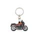 [ кошка pohs соответствует ]KAWASAKI Kawasaki Raver брелок для ключа Z900RS J7002-0166