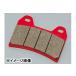 DAYTONA �ԃp�b�h��HONDA��/�i�C�g�z�[�N750�i�t�����g�j 66713