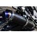 7 день купон распространение Beams BEAMS для мотоцикла muffler V-STROM250 R-EVO карбоновый обувь без шнуровки . префектура засвидетельствование 22 год шум регулирование соответствует G337-53-P2J