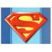SUPERMAN LOGOTin Signsƥ󡡥ץ졼ȡ#1335ѡޥ󡡥֥ꥭġƥꥢ