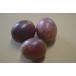  passionfruit 1kg