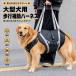  собака для уход Harness ходьба вспомогательный пояс средний собака большой собака . собака li - bili поддержка Harness держать вверх вспомогательный пояс sinia собака . после уход прогулка пассажирский настройка возможность домашнее животное товары для ухода 