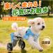 ���p �Ԉ֎q ���s�⏕�J�[�g 2�� 4�� �I���� �V�� ���p ��둫�T�|�[�g ���s�� �V�j�A�� �T�C�Y���߉\ ���^�� ���^�� XS�`L 3�J���[ �֘A�摜1