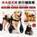 ���p �Ԉ֎q 2�� 4�� ���s�⏕�� ���^�� ��^�� �V�� �V�j�A�� ��� ���n�r�� ��둫 �O�� ���s�T�|�[�g �����x�A���~���� �܂肽���� �T�C�Y���� M�`XXXL �֘A�摜3