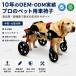 ���p �Ԉ֎q 2�� 4�� ���s�⏕�� ���^�� ��^�� �V�� �V�j�A�� ��� ���n�r�� ��둫 �O�� ���s�T�|�[�g �����x�A���~���� �܂肽���� �T�C�Y���� M�`XXXL �֘A�摜4