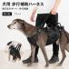  собака для приспособление для ходьбы Harness задний пара поддержка уход Harness все тело поддержка двойной руль держать рука имеется средний собака большой собака . собака sinia собака M L XL черный 
