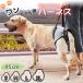 [ новинка ] Harness уход собака простой приспособление для ходьбы помощь поддержка липучка текстильная застёжка . собака травма отрицательный царапина большой собака средний собака маленький размер собака здравоохранение .. все тело .. нет передний пара 