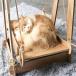  кошка качели гамак выносливость дерево. кошка bed симпатичный кошка bed, симпатичный кошка bed, кошка гамак, семья кошка детали. солнечный свет . домашнее животное . днем . домашнее животное bed сборка простой собака 