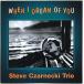 [ used ]Steve Czarnecki Trio Steve *k The Rene ki* Trio | WHEN I DREAM OF YOU ( foreign record CD)