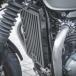 Triumph скорость twin 900/ Street twin скорость twin 900 радиатор защита "Ruipped" RAISCH"