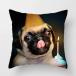  Pug . расческа .. серия Pug рисунок наволочка 45×45cm симпатичный Pug смешанные товары коллекция 