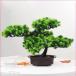  интерьер зеленый высококлассный иммитация . покупатель сосна бонсай украшение . смысл . покупатель сосна бонсай декортивный элемент человеческий труд декоративное растение 