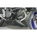 S2 концепция SV 650 Berry хлеб racing recuperator Suzuki SV 650 raw( не крашеный ) l S703.000...