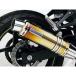 륺 Ninja250R Ninja250Rѥʥߥåޥե顼 ݡĥסJMCAǧڡ O2󥵡ոб 󥵡 