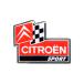  Citroen стикер Citroen sport контрольно-измерительный прибор флаг 3D стикер машина смешанные товары CITROEN