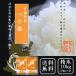 1年産  宮城県産つや姫 10kg （5ｋｇ×2） 送料無料  精白米