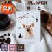  скидка за ранний заказ! Halloween кофе 12 штук входит фотография ввод подарок карниз кофе . распределение . для маленький подарок 