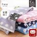�t�F�C�X�^�I�� 34�~80cm �h�b�g�� ��100�� �R�� �h�L �^�I�� fufu �A�N�A�{�[�� ���[����