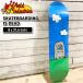  world in пыль Lee панель WORLD INDUSTRIES SKATEBOARDING IS DEAD EX7 POPSICLE 8x31.6 WB14 HERITAGE Division